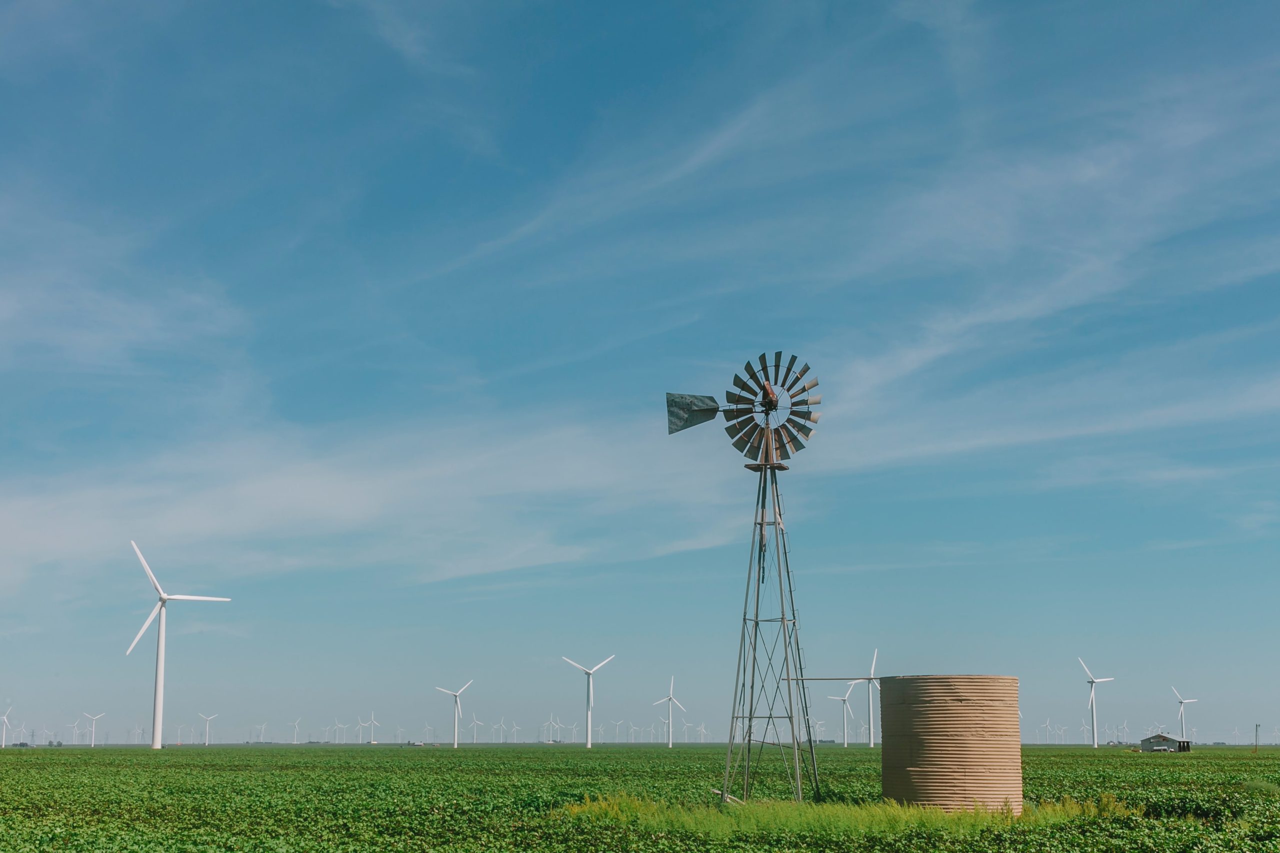 WEBINAR Green Infrastructure Or Red Tape Niskanen Center