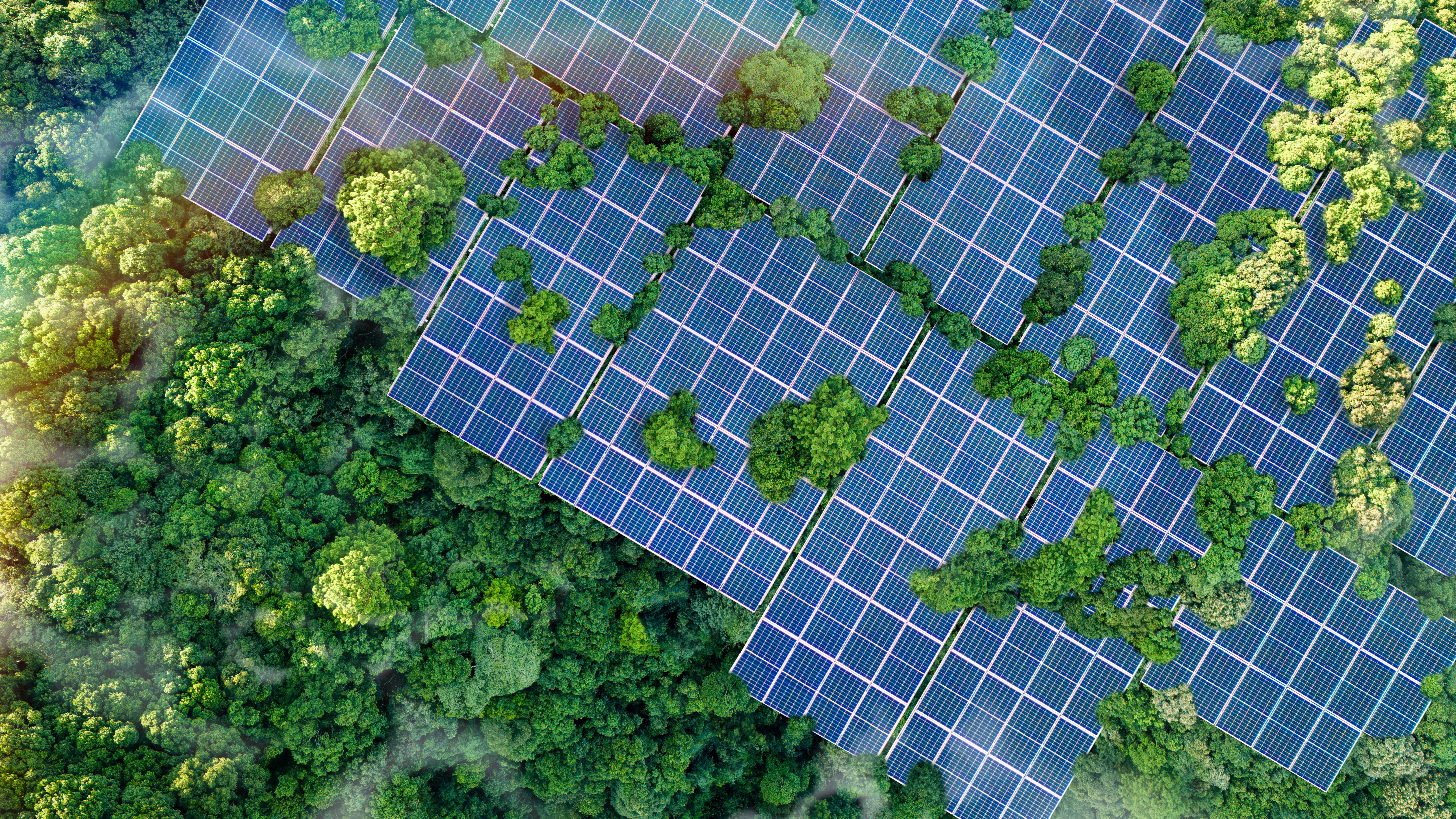 Powering prosperity: how clean energy drives economic growth