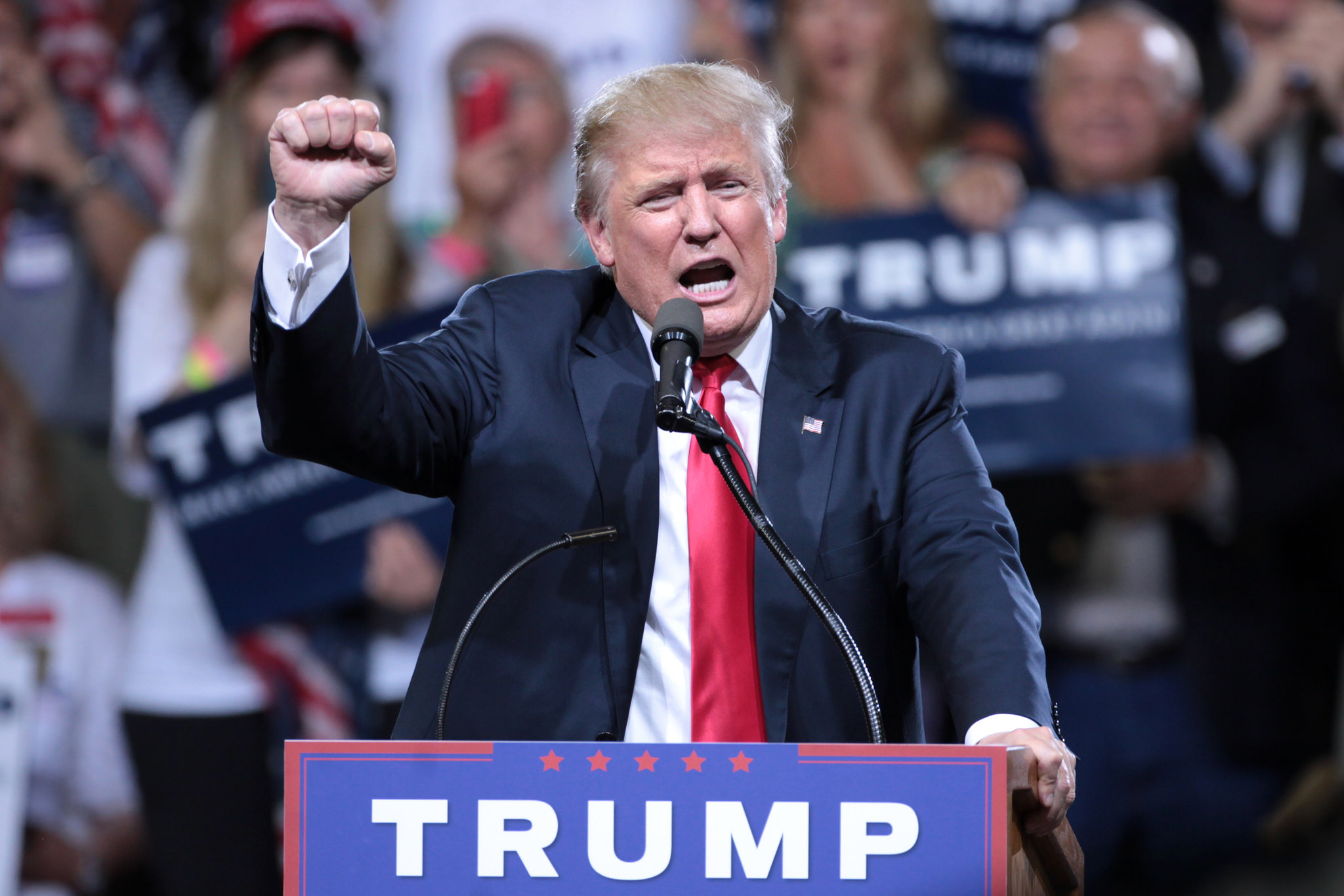 The Trump Threat To The Rule Of Law And The Constitution Niskanen Center