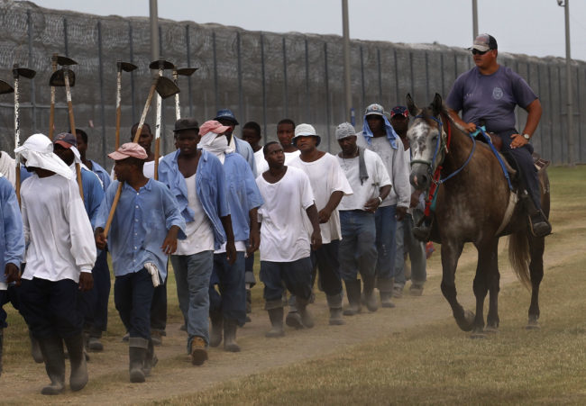 Prisoners returning from forced labor, Louisiana State Penitentiary, 2011. 